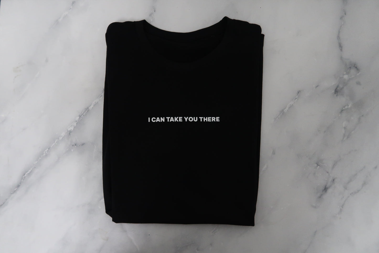 "I Can Take You There" Organic Cotton T- Shirt